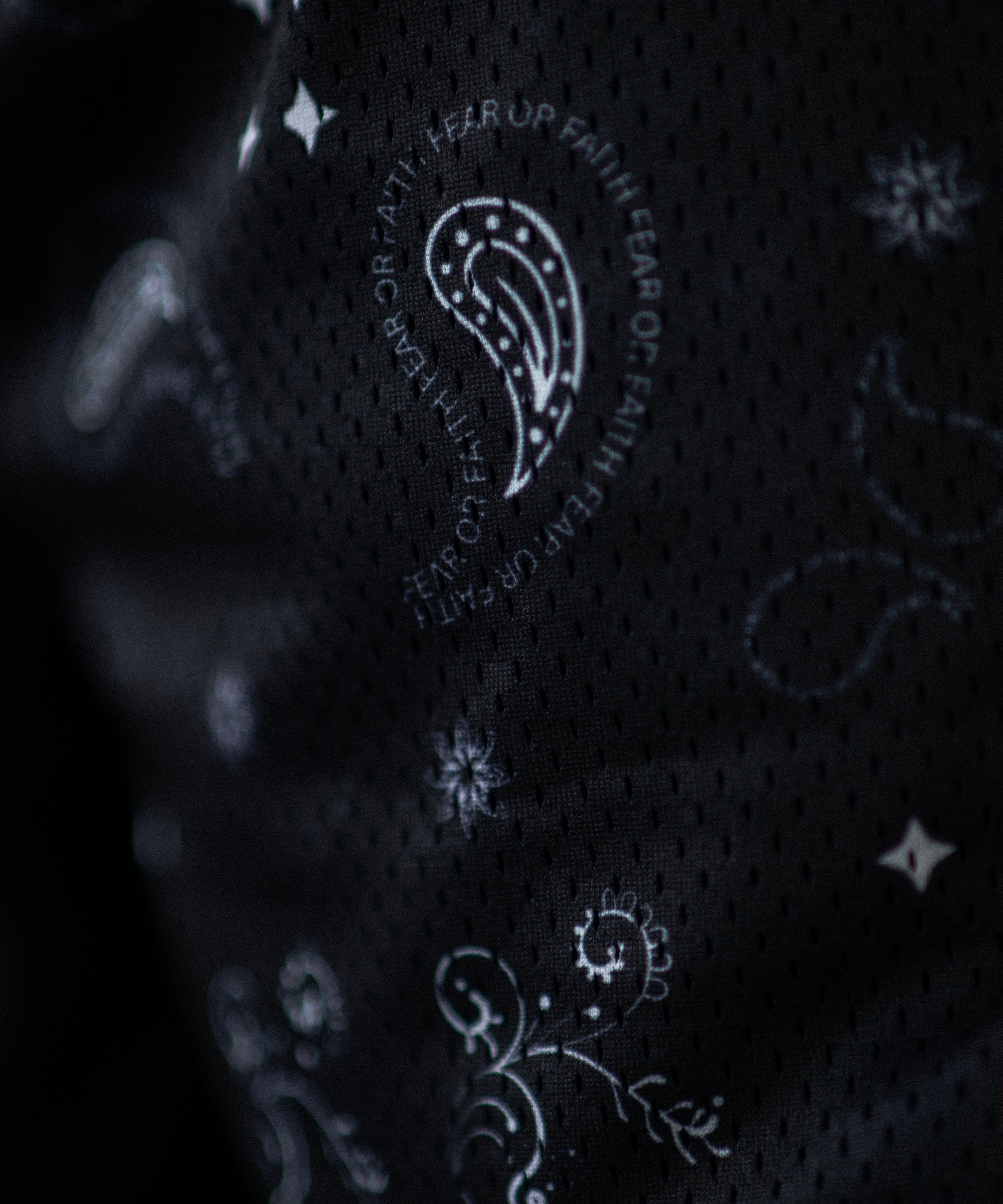 Paisley Mesh Shorts